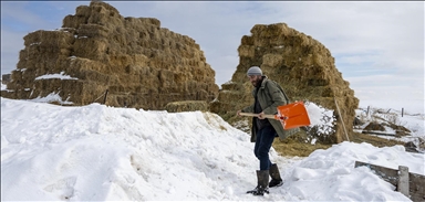 بارینی بەفرێکی زۆر لە قەرس، کاری ئاژەڵدارانی سەخت کردووە