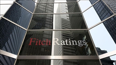 Reduced shipping via Red Sea led volumes to other terminals: Fitch