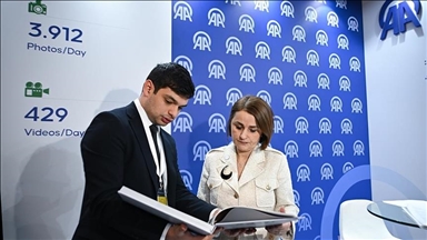 Между Турцией и Румынией налажено стратегическое партнерство