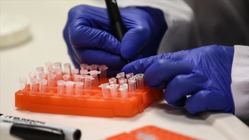 Hong Kong reports 1st B virus case related to monkeys