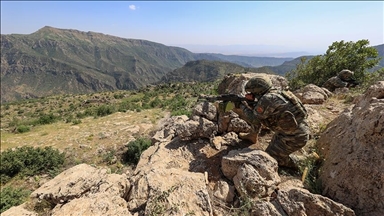 PKK terrorist surrenders to Turkish forces