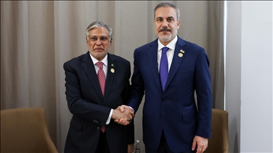 فيدان يلتقي نظيره الباكستاني في بانجول