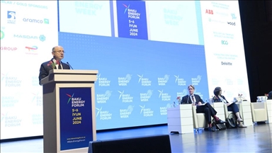 В Баку обсуждают вопросы энергетики