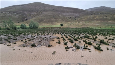 Bayburt'ta dolu ve sağanak ekili alanlara zarar verdi