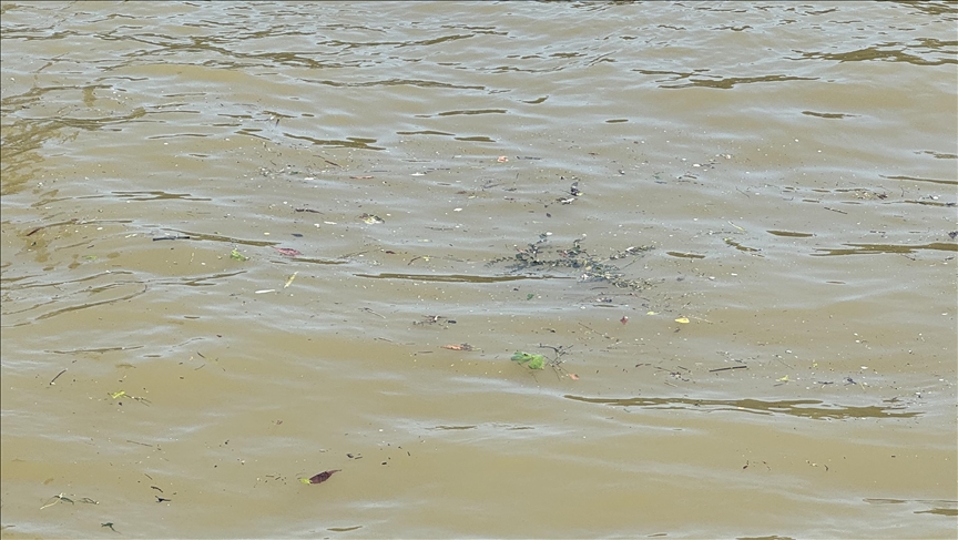 France / Pollution de la Seine : Une menace pour les JO de Paris 2024