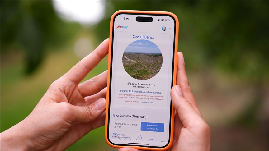 خبيرة: الري المدعوم بالذكاء الاصطناعي يوفر الطاقة ويزيد الإنتاج (مقابلة)