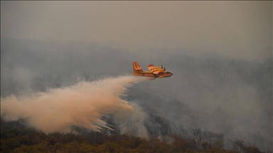 المغرب.. إخماد حريق نشب بغابة شمال المملكة قبل 5 أيام