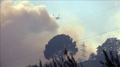 Aydın'da zeytinlik ve ormanlık alanda çıkan yangına müdahale sürüyor