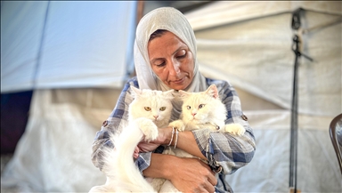 غزة.. فلسطينية تعتني بقطتيها رغم الحرب والجوع 