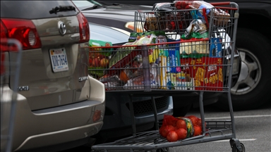 US consumer credit rises $8.93B in June: Fed