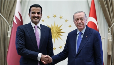 Турскиот претседател Ердоган во Анкара оствари средба со катарскиот емир Ал Тани