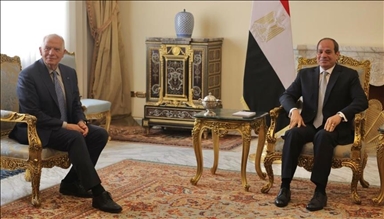 السيسي وبوريل يبحثان سبل "إنهاء الكارثة الإنسانية" في غزة 