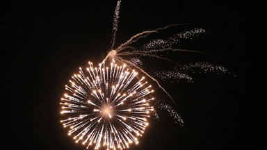 تولید، فروش و استفاده از آتش‌بازی در دهلی نو ممنوع شد