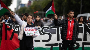 'Anger affects 96% of Gazans, leading to disorder and looting': UN official