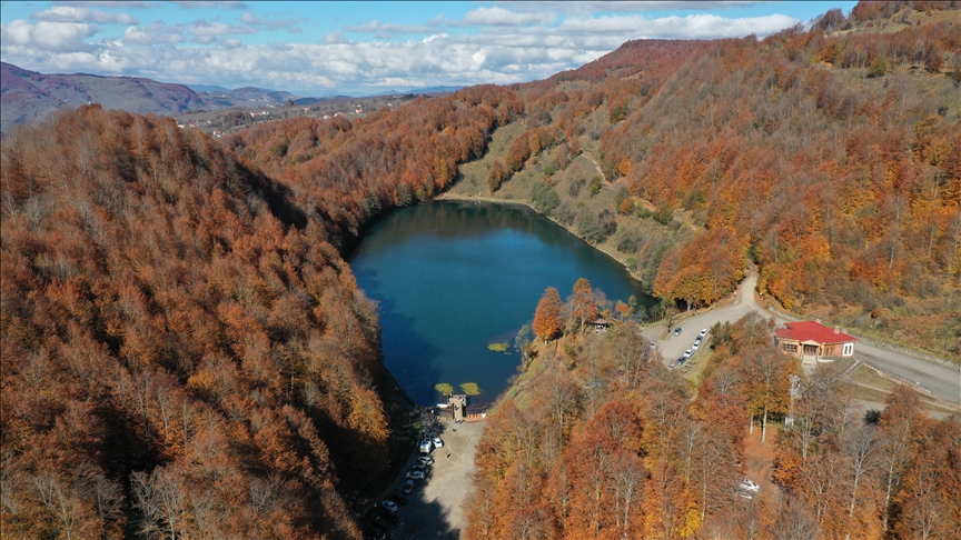 الشمال التركي.. منتزه "أولوغول" يتألق بألوان الخريف