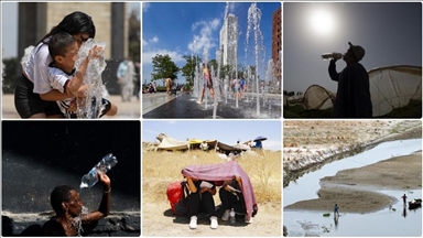 ВМО: 2024 год может стать самым теплым годом в истории наблюдений