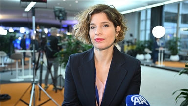 Евродепутат заявила о необходимости положить конец израильской оккупации в Сирии 