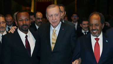 Ethiopia, Somalia reach agreement in Ankara-mediated peace talks: Turkish president