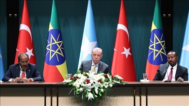 Президент Эрдоган поздравил лидеров Эфиопии и Сомали с достижением исторического компромисса