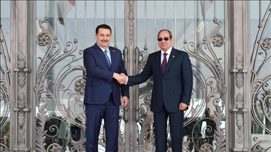 العراق ومصر يؤكدان أهمية التنسيق العربي لضمان وحدة سوريا 