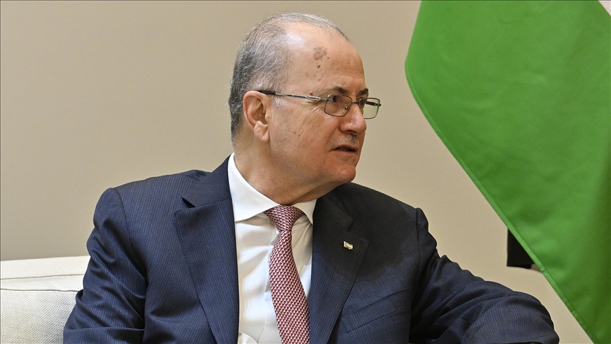 عبد العاطي ومصطفى يبحثان ترتيبات القمة العربية الطارئة حول فلسطين