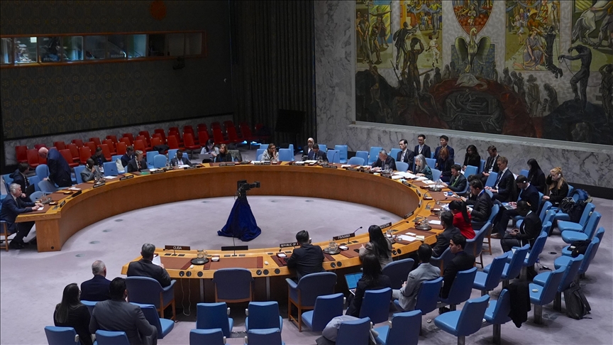 Denmark assumes UN Security Council presidency for March