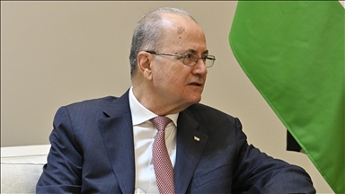 عبد العاطي ومصطفى يبحثان ترتيبات القمة العربية الطارئة حول فلسطين