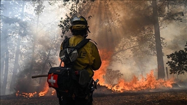В двух штатах США объявлена эвакуация из-за пожаров