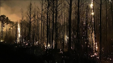 Over 175 wildfires scorch US state of South Carolina, burning 1,700 hectares and forcing evacuations