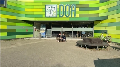 На улицах городов Европы практически невозможно встретить бездомных животных