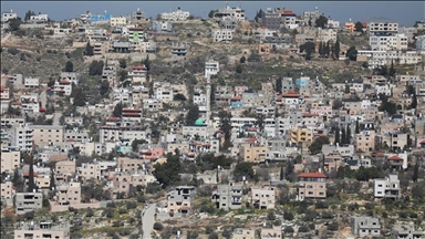 Israeli illegal settlers assault Palestinian shepherds in southern West Bank