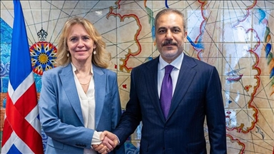 دیدار وزیر خارجه ترکیه با همتای ایسلندی خود در بروکسل