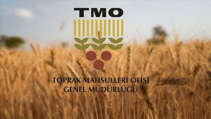 TMO kadrolarını Açtı! Yüksek maaşlı memur alımı başlıyor