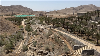 مدير حديقة النباتات العمانية: لدينا 1457 نبتة تمثل بيئات السلطنة السبع 