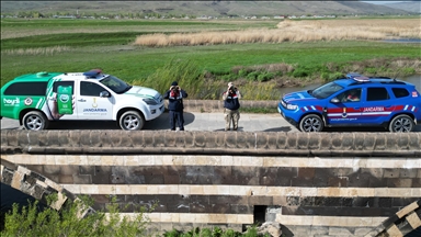Göç yolculuğuna başlayan inci kefalleri, kolluk kuvvetlerinin korumasında