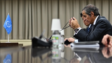 UN watchdog chief arrives in Russia for talks on nuclear safety