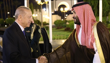 Turkish President Erdogan, Saudi crown prince discuss regional, global issues 