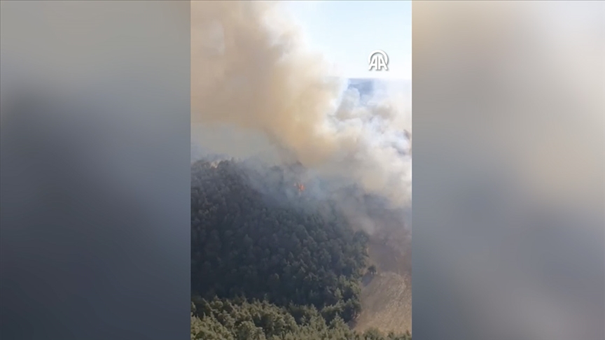 Balıkesir'de çıkan orman yangınına müdahale ediliyor