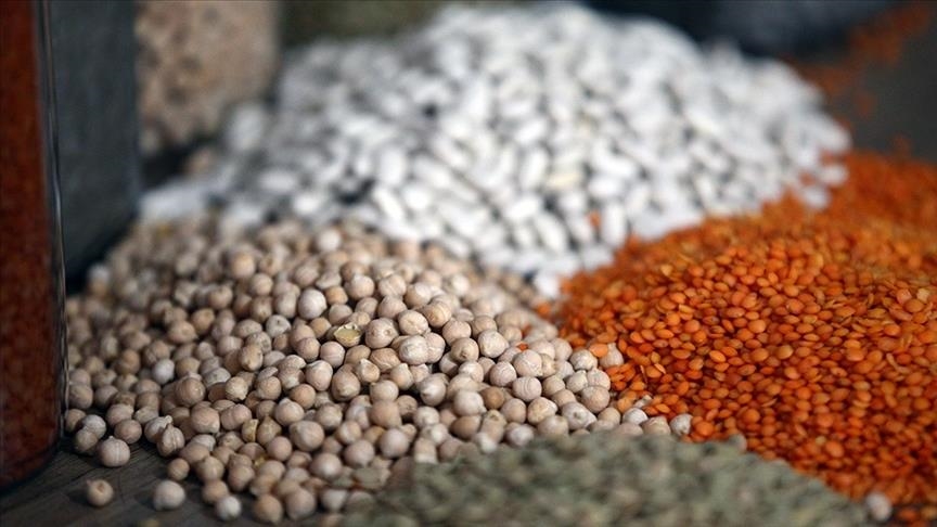 Экспорт зерновых и бобовых культур Турции в первой половине года вырос на 4,5%