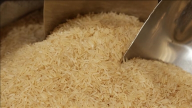 Индонезия передаст Палестине 10 тыс. тонн риса в качестве гуманитарной помощи