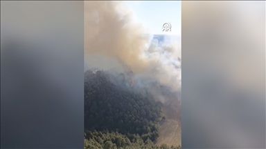 Balıkesir'de çıkan orman yangınına müdahale ediliyor