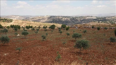 هيئة فلسطينية: إسرائيل تستولي على 744 دونما من أراضي الضفة