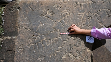 Van'da 3 bin rakımlı yayladaki kaya resimleri tescillenerek korunacak