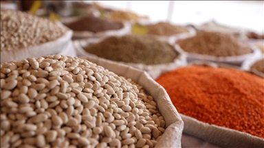 Türkiye'den yılın 7 ayında 7,1 milyar dolarlık hububat ihracatı yapıldı