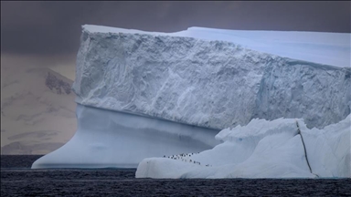 تركيا تؤسس مجلسا تنسيقيا لشؤون المناطق القطبية