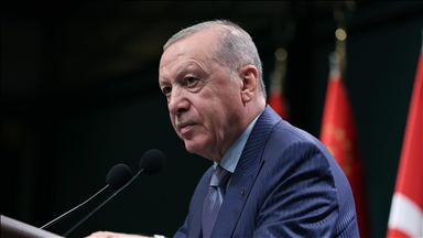 New ambassadors present their credentials to Turkish President Erdogan