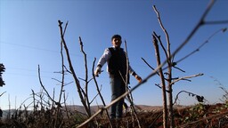 Kuraklık bu yıl birçok ürünü etkiledi