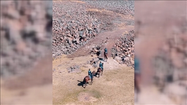 Atlı jandarma timi Tendürek Dağı eteklerinde devriyede