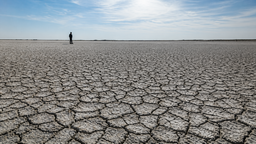 İklim değişikliği şehirlerin