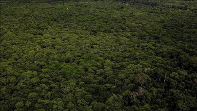 Les membres du Parlement européen approuvent le nouvel objectif climatique pour 2040